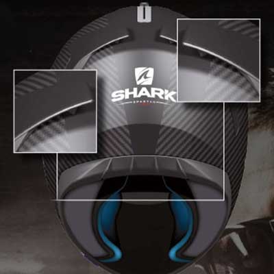 Sharkb_2.jpg